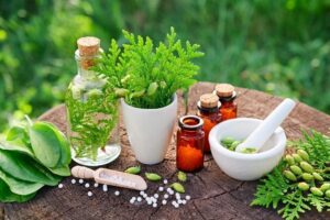 Best Herbal Remedies Service in Indirapuram