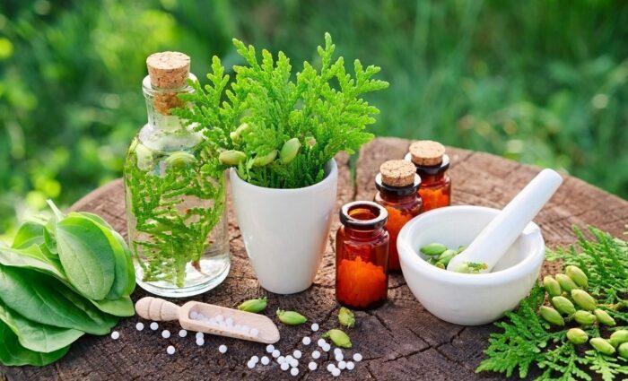 Best Herbal Remedies Service in Indirapuram